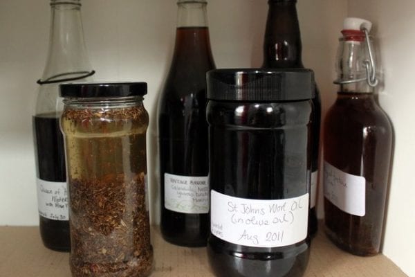 How To Make Echinacea Tincture Amanda Cook 